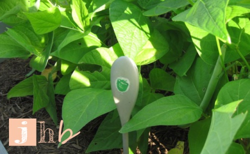 Wooden Spoon Plant Marker - Bell Pepper