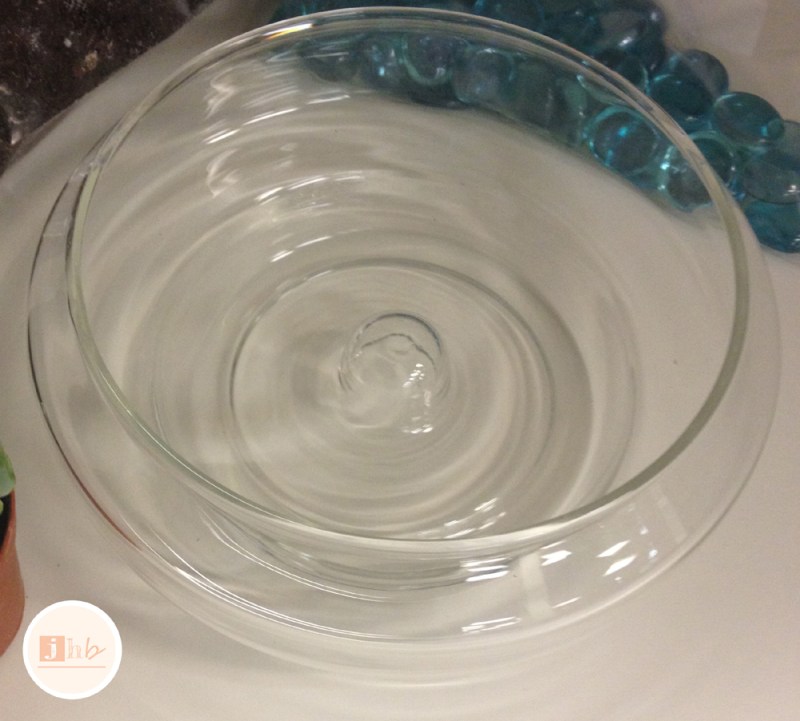 Easy DIY Succulent Garden