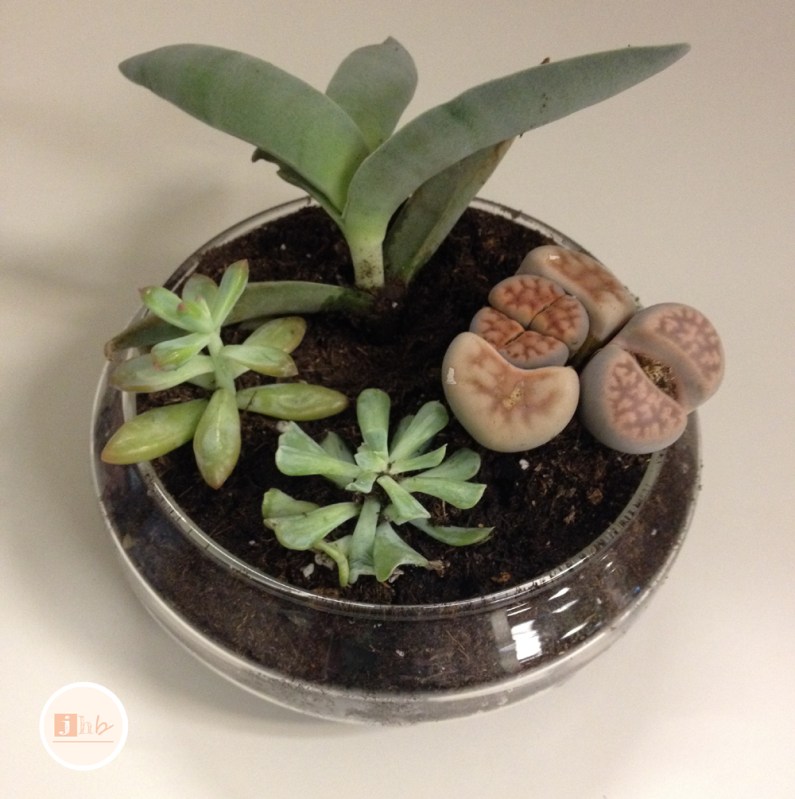 Easy DIY Succulent Planter