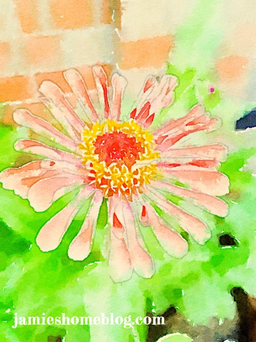 Painted in Waterlogue