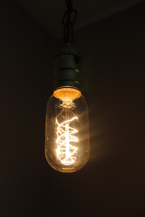 spiral filament edison bulb